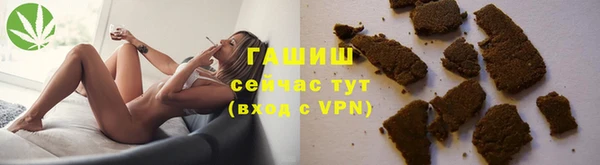 шишки Сосновый Бор
