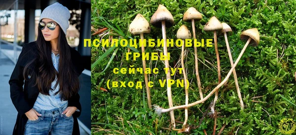 меф Сосновка