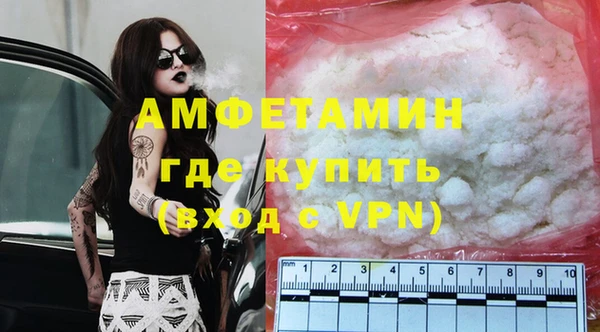 шишки Сосновый Бор