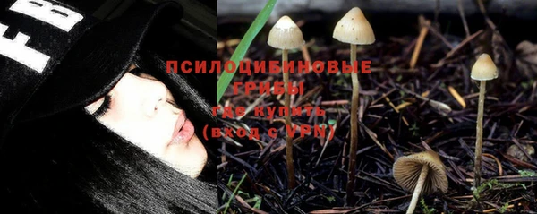 мяу мяу мука Абинск