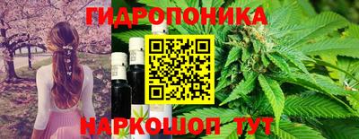 индика Братск