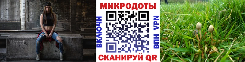 Галлюциногенные грибы MAGIC MUSHROOMS  как найти закладки  Воронеж 
