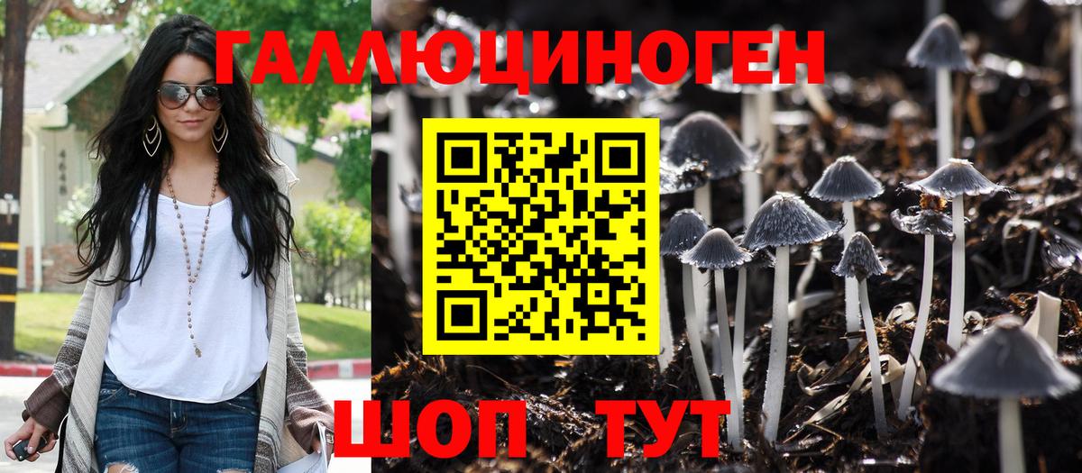 Галлюциногенные грибы MAGIC MUSHROOMS  Вход с VPN  Воронеж 